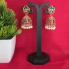 Earrings ER-019